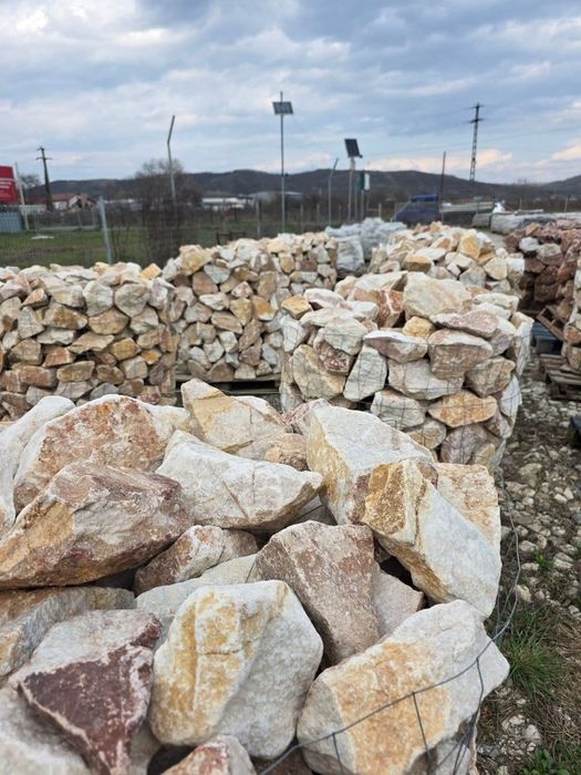 Bolovani ornamentali și decorativi pentru amenajare grădinii
