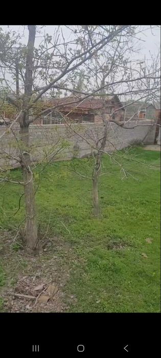 Jomboy tumanida yer maydoni