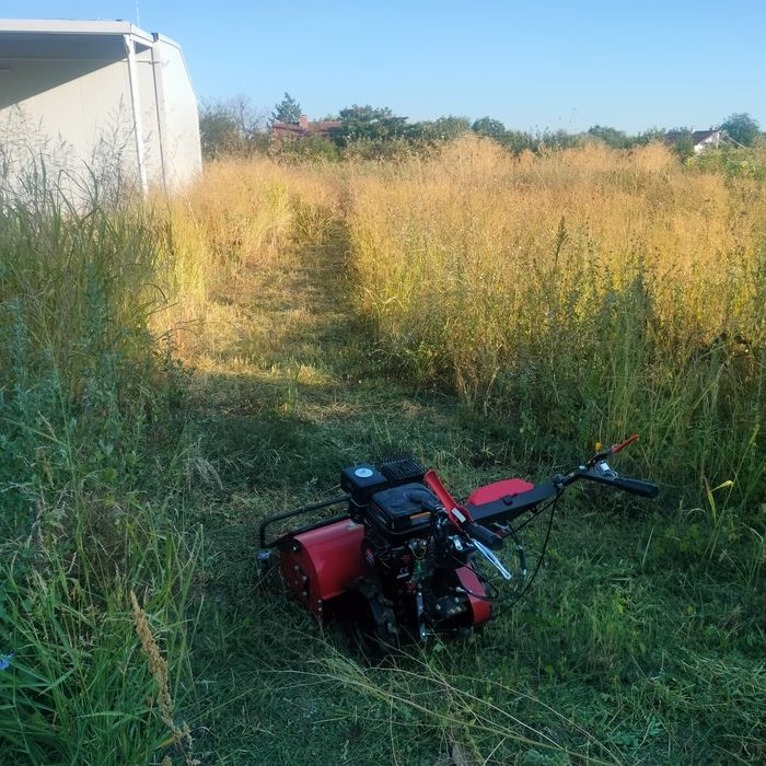 Косене, рязане, почистване