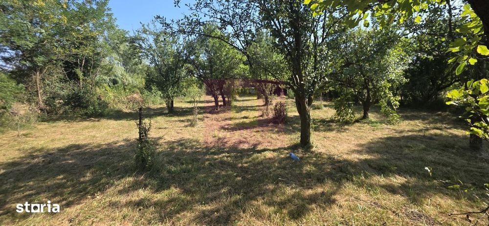 Teren intravilan de vanzare 3375 mp in Brebu