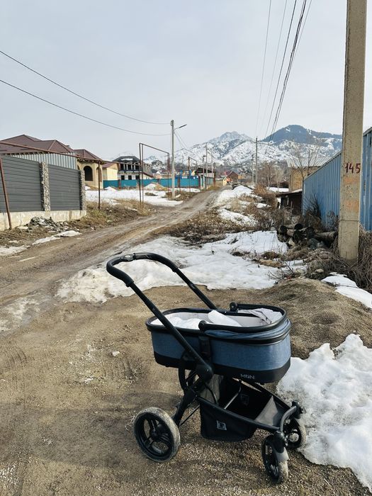 Модульная коляска Moon Nuova 2 в 1