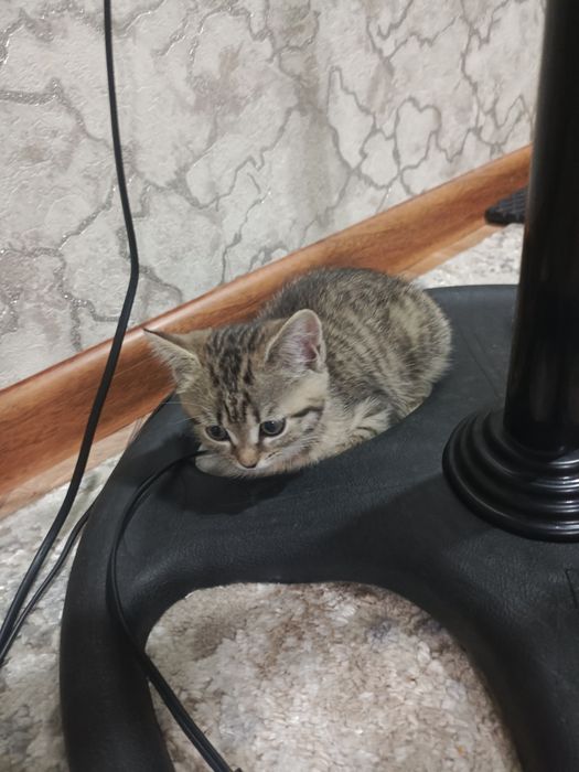 Продам срочно срочно