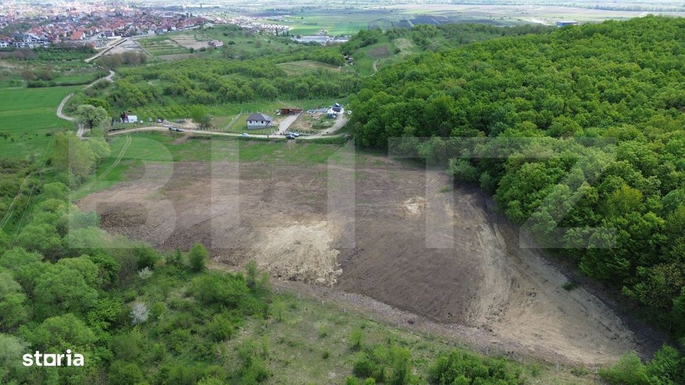 Teren 15.100 mp la baza padurii – ideal parcelare | 14 loturi | priv