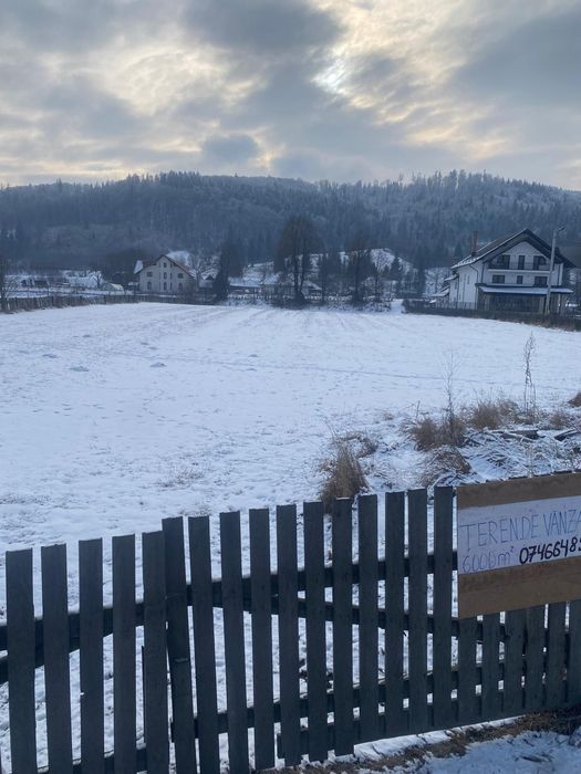 Teren Frasin 6000 m²