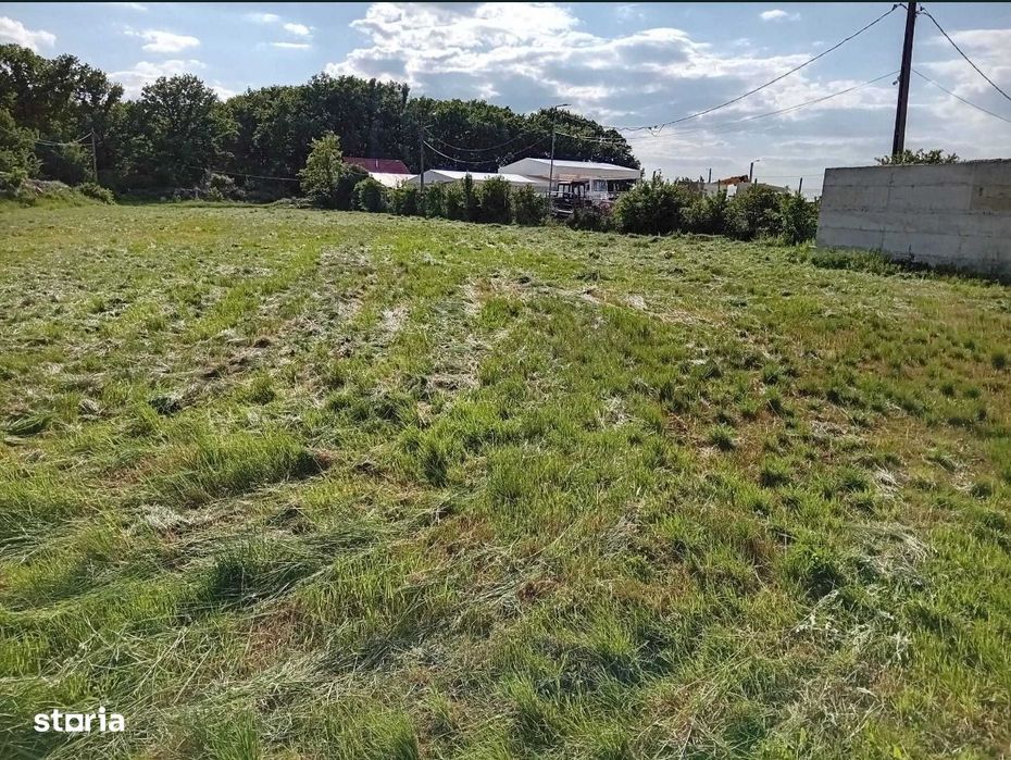 Teren Grigorescu / strada Apateului (de inchiriat / închiriat)