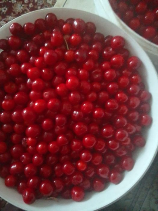 Продам вишню  свежею