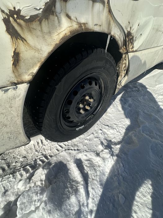 Пртдам. Таета аристо