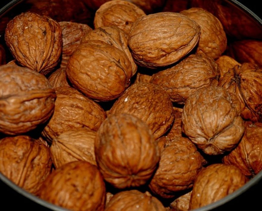 Nuca in coajă  2025