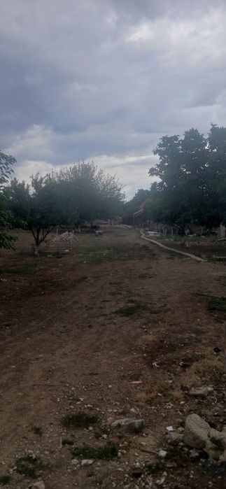 Casa de vanzare an jud arad
