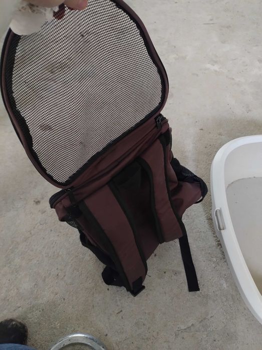 Котешка тоалетна и раница