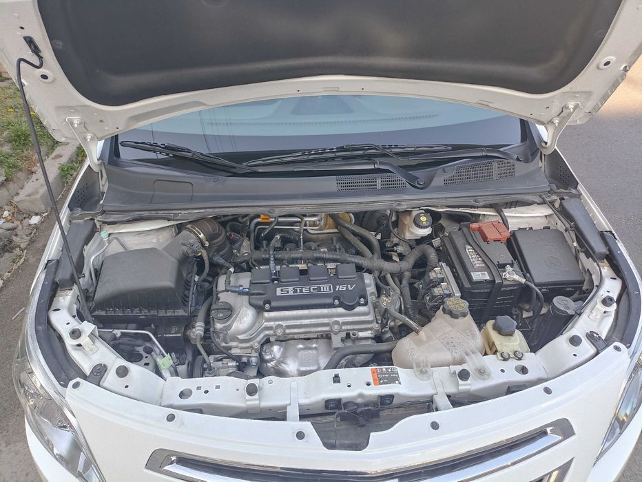 Cobalt 2023 evro economiser