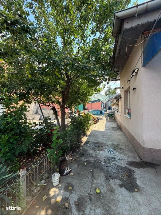 Vand casa in Chitila