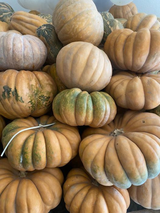 Тыква сладкая 250 тг