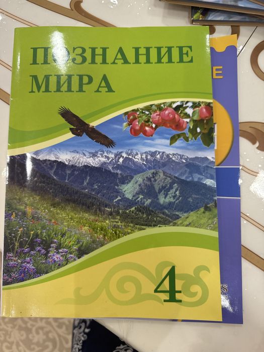 Учебники 4 класс р/о