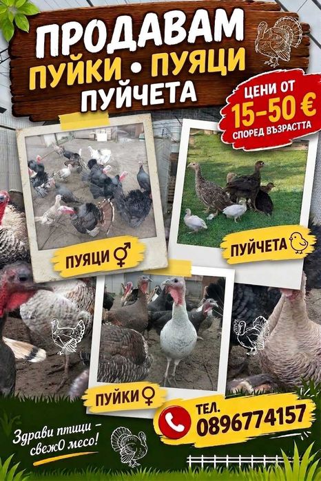 пуйки, пуяци, пуйчета
