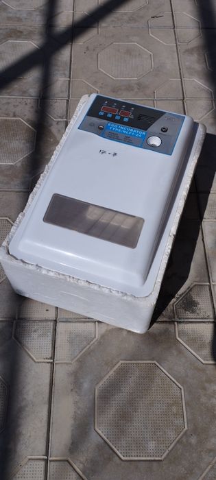 Inkubator xitoy zavadskoy 24 lik