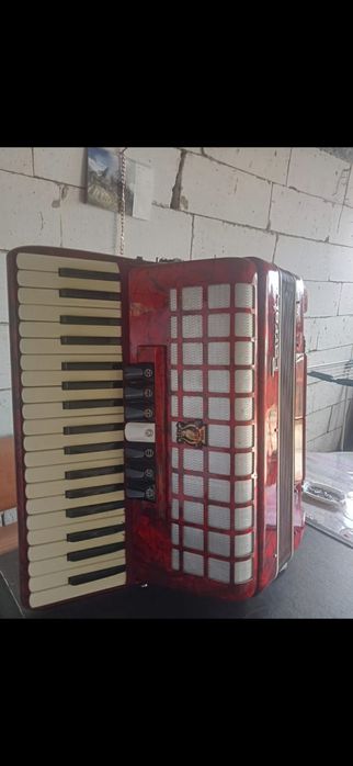 Acordeon Parrot 96 basi
