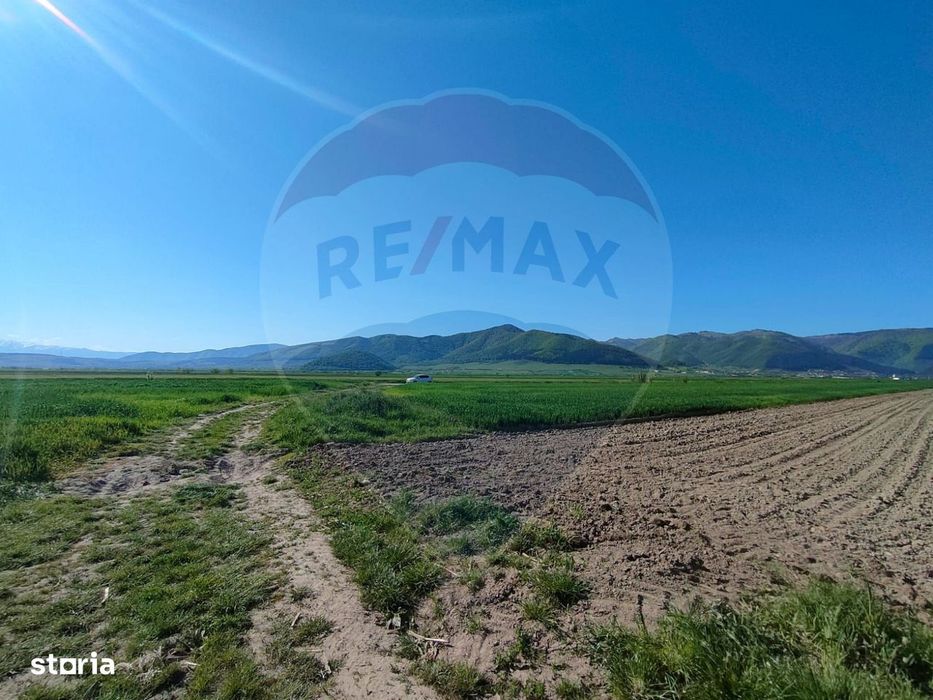 Panoramă deasupra lumii Teren de poveste Gura Râului, zona Peste Grui