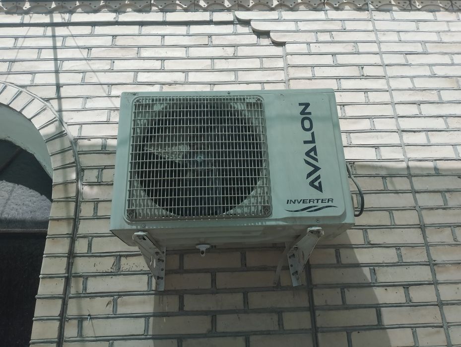 Kanesaner avalon