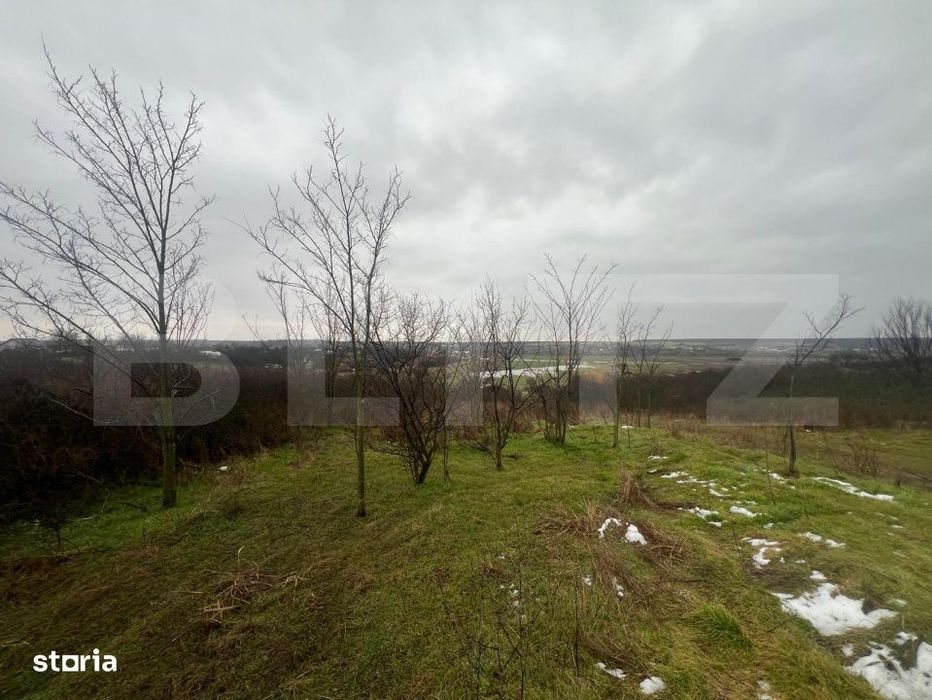 Teren intravilan, 2298 mp, strada Robanesti