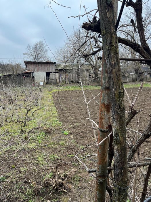 Casa de vanzare - Giurgiu