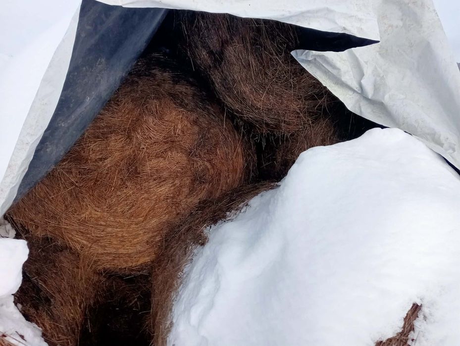 Baloți de fan de vânzare