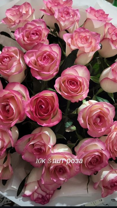 Цветы роза 34шт новый