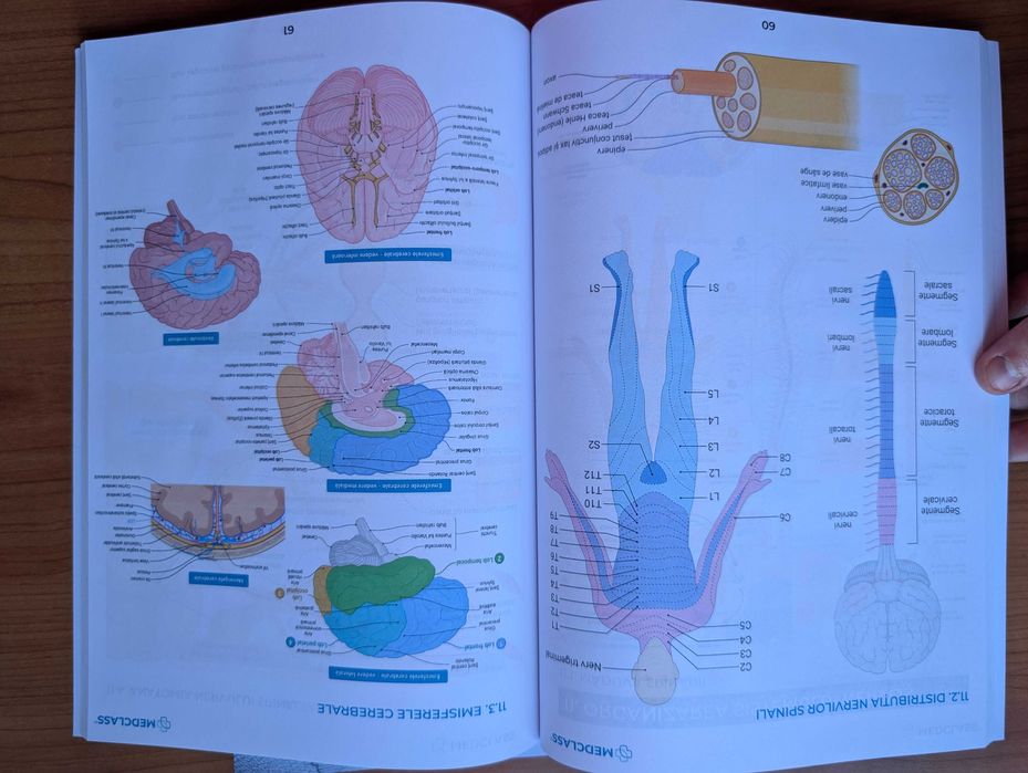 Vând Atlas de Anatomie MEDCLASS - CORINT