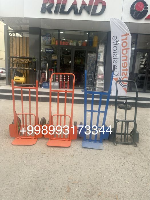 Телешка разный Арава Arava