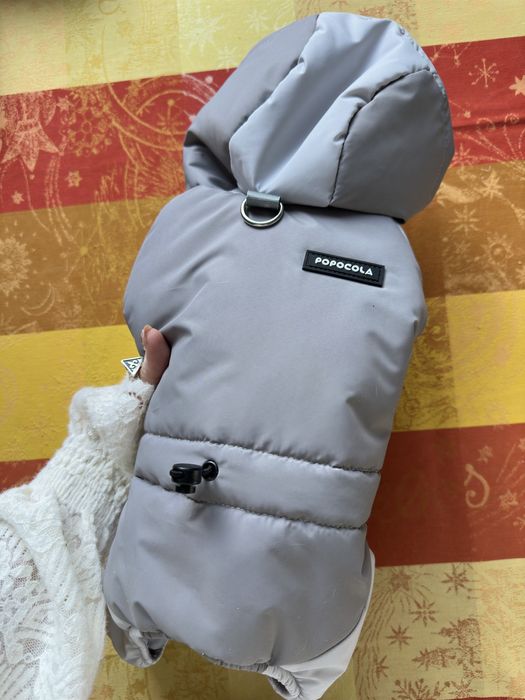 Новый комбинезон для собаки