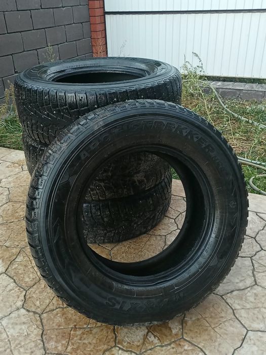 шины ArcticTrekker ns3