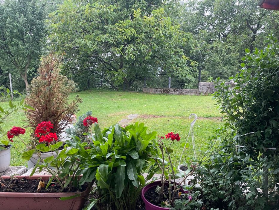 Casa mobilată-utilată D+P+E1+P. 4 cam. 300m2