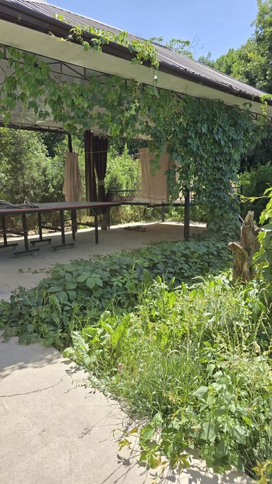 Сдаётся дача для рыбалки и хорошего отдыха