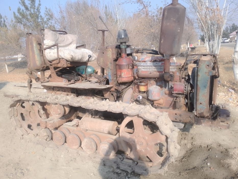 Kidi balgar 70 sotiladi