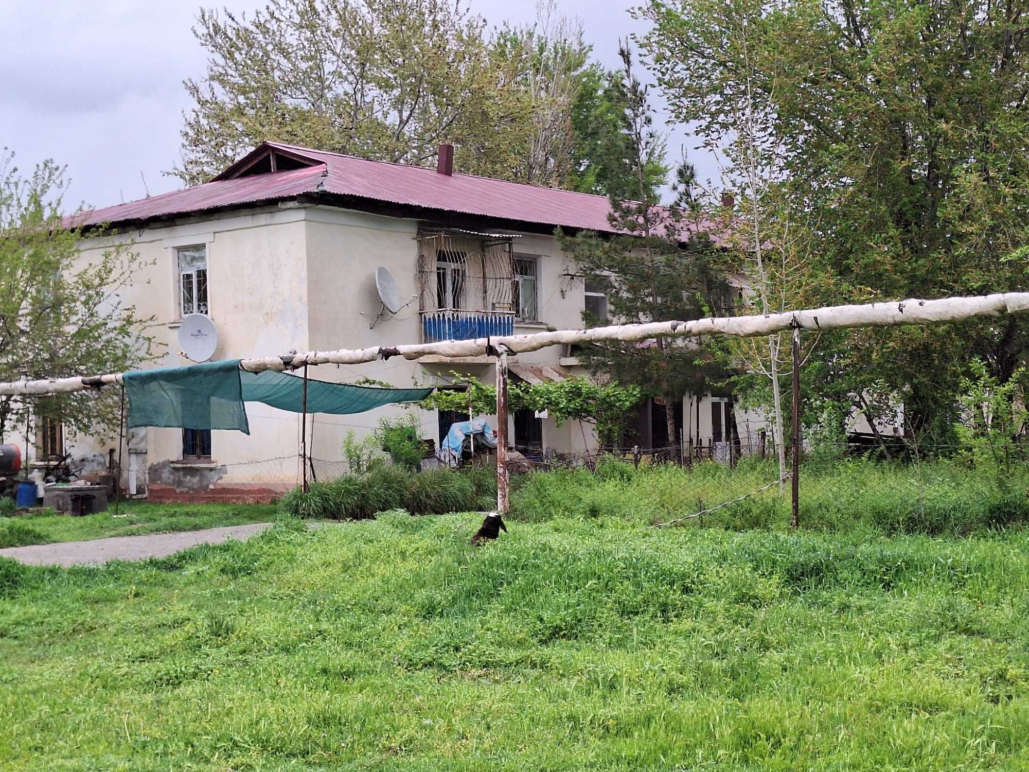 военный городок - Недвижимость в Самаркандская область - OLX.uz