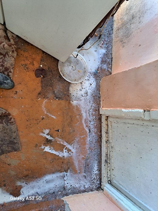 Dezinfeksiya Buxoro, Бухара Дезинфекция klapa, таракан, Чивин, Бурга