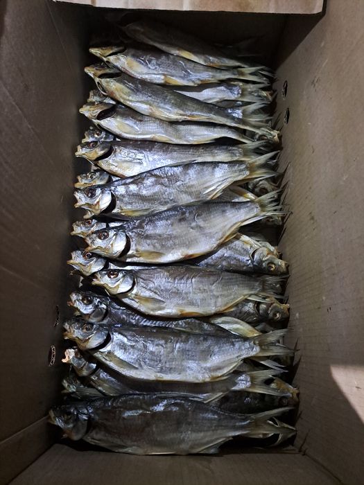 Рыбец вяленый рыба малосольный