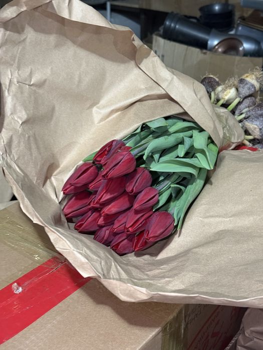 Тюльпаны оптом и в розницу