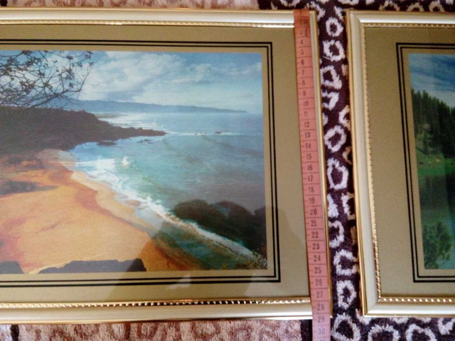 картины для интерьера 2 штуки