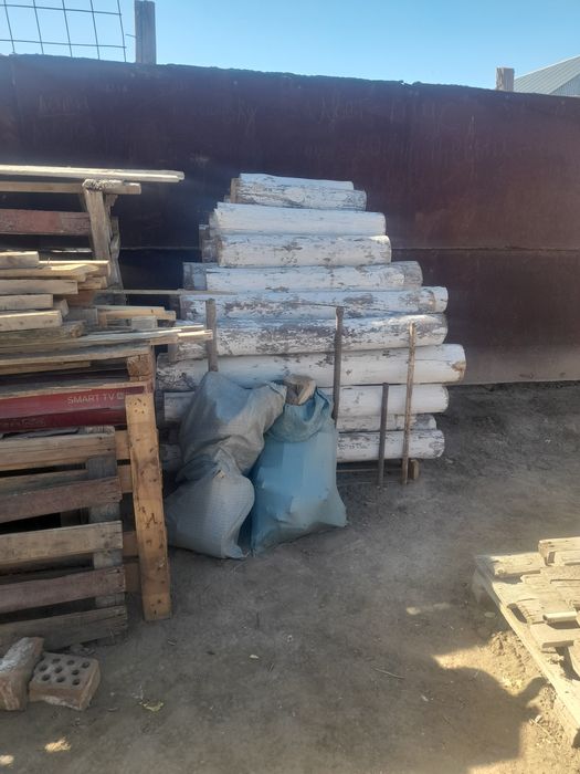 Отындык агаштар бар