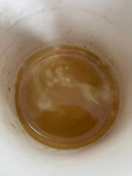 Aparat Cafea Saeco Aulika Top Cappuccino