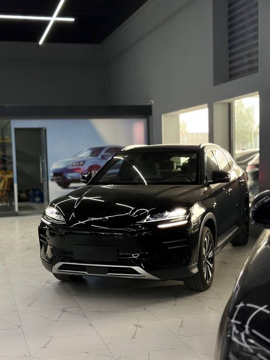 Byd chempion smart