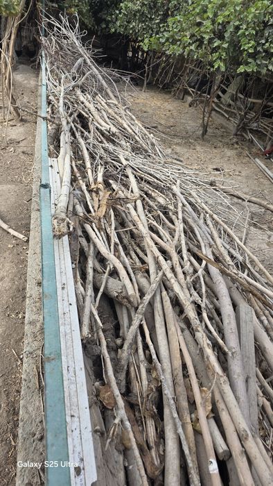 Отын бар Сатылатын