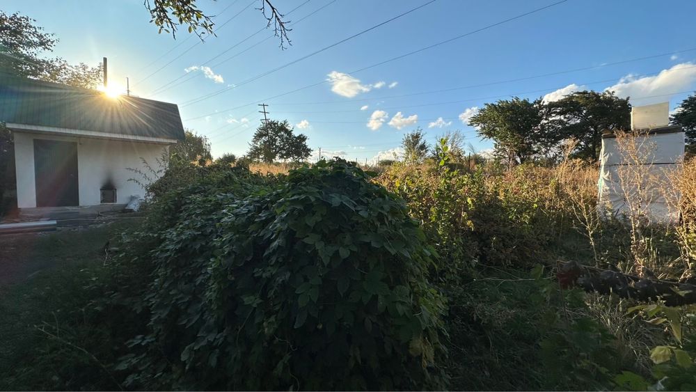 Дачный массив Текели