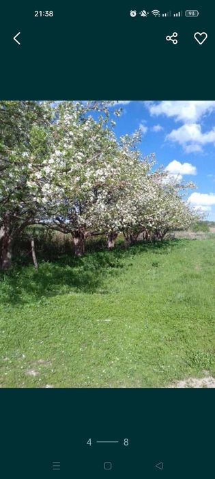 Продам сельское хозяйство