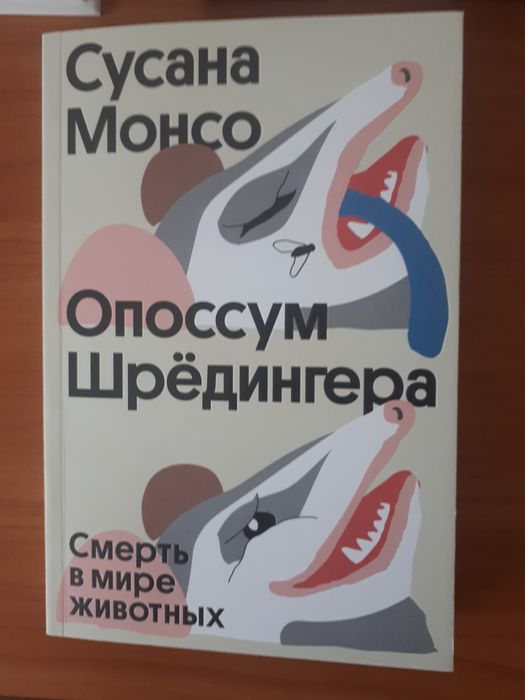 Книги новые по акции