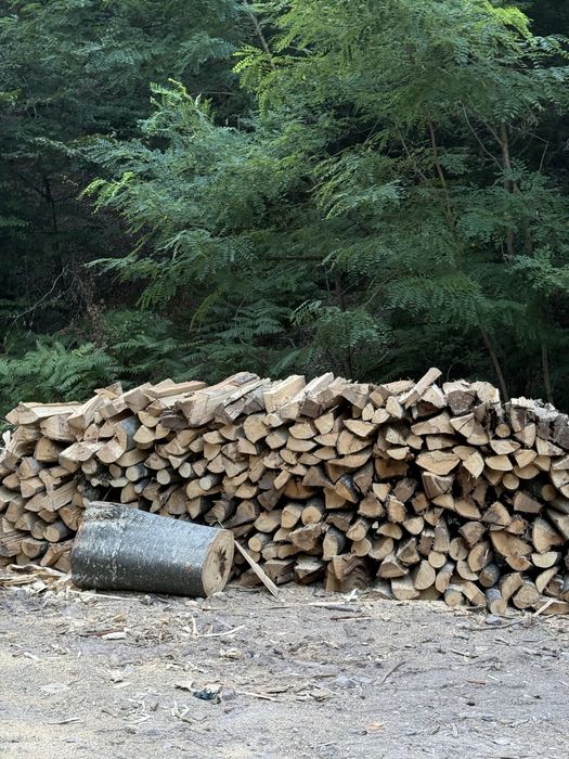 ‼️Lemne de foc de cea mai bună calitate