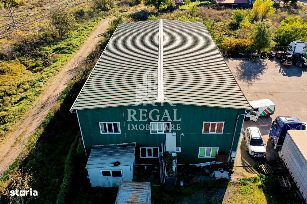 Hală Industrială De Vânzare – Cristur (Hunedoara – Deva)