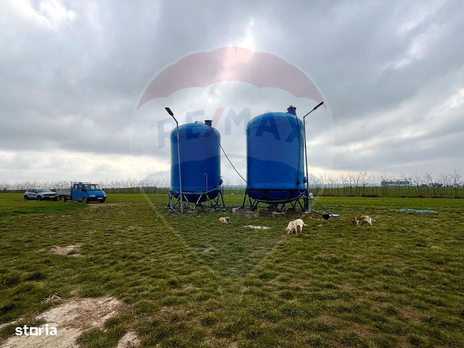 Teren extravilan Săcele ideal pentru silozuri, fermă sau investiție