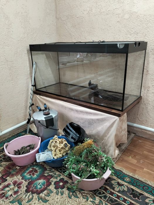 Продам аквариум за 100000